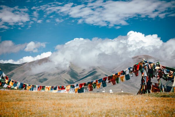 A Glamorous Tour of the Swiss Riviera from Geneva to Montreux