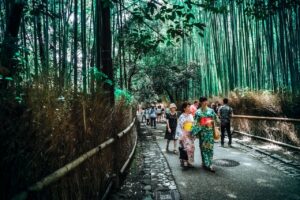Finding Peace at Kyoto’s Serene Temples and Beautiful Bamboo Forests