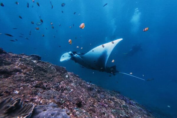 A Complete Circuit of Iceland’s Breathtaking Natural Landscapes